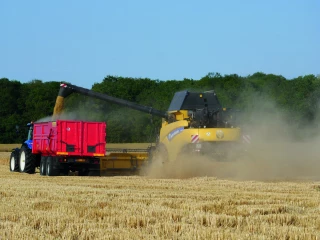 Céréales à paille : météo hors norme, récolte moyenne