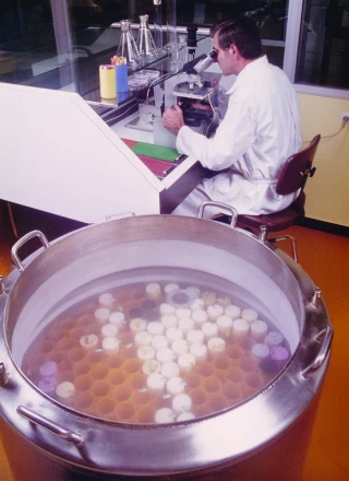 De la prospérité à une réduction de l'activité
