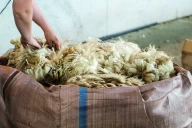 La FDSEA de la Loire organise sa collecte annuelle de laine 