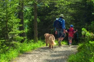 Quels sont les bons réflexes à adopter en forêt ? 