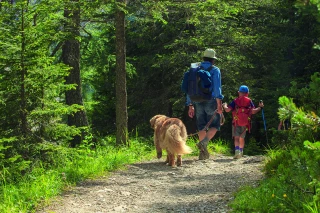 Quels sont les bons réflexes à adopter en forêt ? 