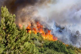 « Le changement climatique fait démarrer les feux plus tôt », analyse un chercheur de l'Inrae