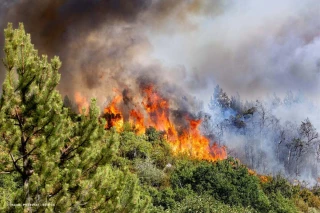 « Le changement climatique fait démarrer les feux plus tôt », analyse un chercheur de l'Inrae