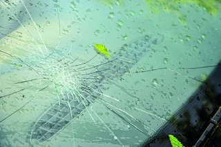 Tornade et grêle dans la Loire : les violents orages dévastent les cultures agricoles
