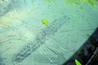 Tornade et grêle dans la Loire : les violents orages dévastent les cultures agricoles