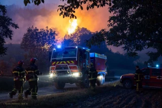 Deux propositions de loi  pour adapter les forêts au climat
