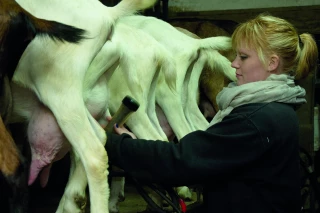 Le droit à l’essai : une révolution pour préparer les associés en agriculture