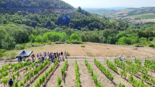 Le drone de pulvérisation prend son envol au-dessus des vignes