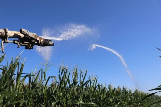Bientôt la fin de l’irrigation du maïs