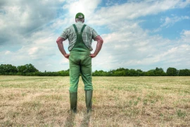 Le plan d'aide agricole sera dévoilé le 3 septembre 