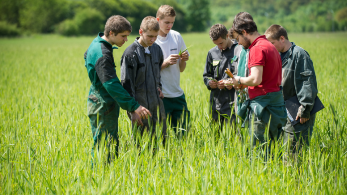 Rentrée 2026-2027 : l’enseignement agricole mise sur le Bachelor agro et de nouveaux parcours