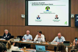 Les Chambres d’agriculture alertent sur les risques pour l’agriculture française après un été de sécheresses