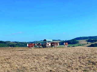 Sécheresse : « Il faut faire confiance aux agriculteurs »