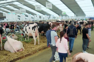 Sommet de l’élevage 2026 : 120 000 visiteurs attendus