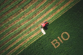 Lait bio : Comment la filière régionale prépare-t-elle l’après-crise ?