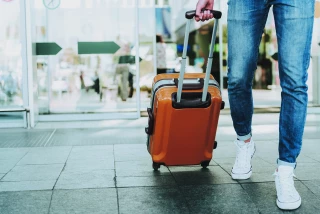Maladies animales et végétales : les voyageurs appelés à la vigilance