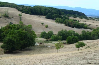 Aides Pac 2026 : dates de versement et dérogations sécheresse dans la Loire