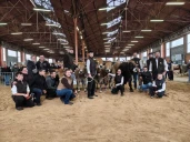 Race Aubrac : la Loire bien représentée et récompensée