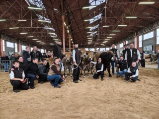 Race Aubrac : la Loire bien représentée et récompensée