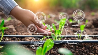 Pourquoi la data est le nouvel outil stratégique des coopératives agricoles ?