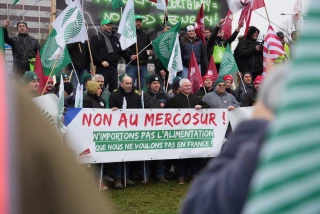 Mobilisations contre le Mercosur à Strasbourg : la FDSEA et Jeunes agriculteurs Loire le répètent, c'est non !