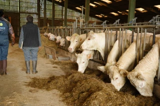 Plan bâtiment : réouverture du guichet au printemps 2026