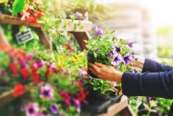 Formation, technique et projets collectifs pour la chambre horticole de la Loire 