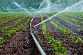 L’agriculture consomme 11 % des prélèvements d’eau nationaux
