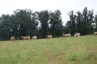 Apports de fertilisants : comment s’adapter à la météo et à la portance des sols fin février dans la Loire ? 