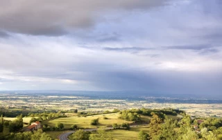 Miser sur le foncier, l’installation et les filières locales