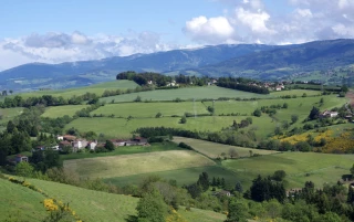 « Le projet de territoire se définit avec ses acteurs »