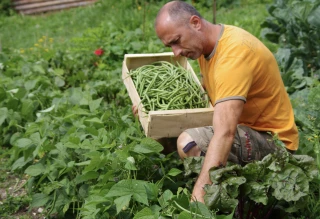 Le Projet alimentaire territorial s’impose comme un levier