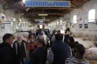 Découvrez le Journal quotidien du comice 