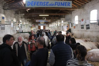 Découvrez le Journal quotidien du comice 