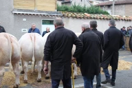 Comice de Feurs : quel est le palmarès des concours 2026 ? 