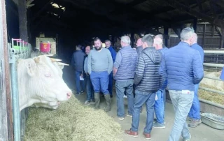 Foire de Beaucroissant : les éleveurs charolais prêts pour le retour des bovins