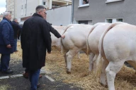 Des transactions plus lentes, mais satisfaisantes