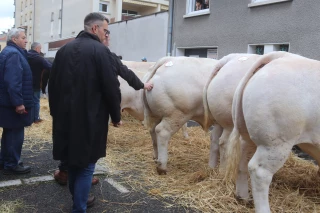 Des transactions plus lentes, mais satisfaisantes