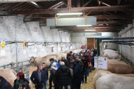 Le comice de Feurs, un rendez-vous honoré