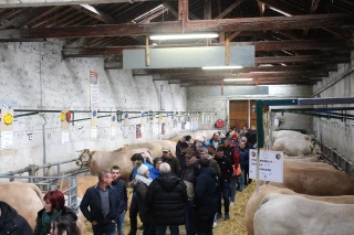 Le comice de Feurs, un rendez-vous honoré