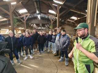 Transmission d’exploitation et élevage des génisses : comment préparer l’avenir d’une exploitation laitière ?