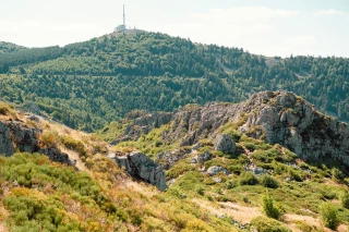 Le projet Pilat-Jarez pour sécuriser l’eau des exploitations