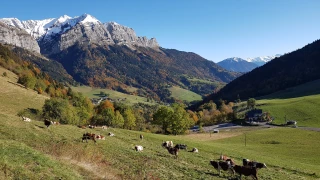 Loi montagne : un texte pour adapter l’agriculture et les territoires au changement climatique