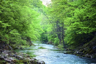 Eau et agriculture : quelles règles pour les prélèvements et l’irrigation dans la Loire ?