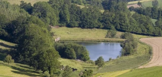 Gestion de l'eau dans la Loire : quelles sont les clefs pour agir en agriculture ?