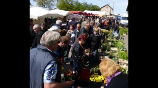 La foire agricole de Nervieux aura lieu le 16 mai