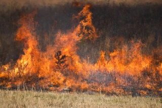 Risques d'incendie dans la Loire : quelles sont les mesures prises par le préfet ? 