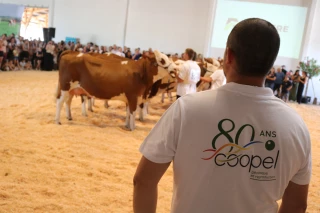 80 ans de Coopel : les photo-souvenirs