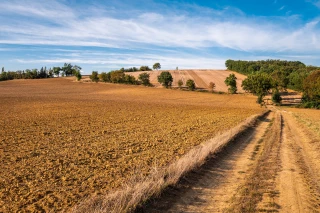 Sécheresse en France : les restrictions d'eau s'intensifient pour l'agriculture