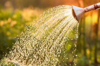 Usages de l’eau : le Roannais passe en alerte renforcée